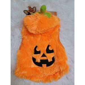 Pup Crew Sz S Fleece Lined Faux Fur Pumpkin Dog Costume (14-17 Inches Stretchy)